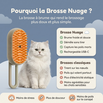 Pourquoi choisir la Brosse Nuage : brume froide, picots souples, sans fil